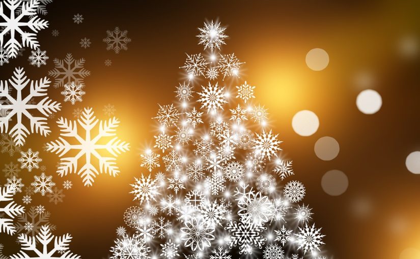 Sosna diamentowa na pniu