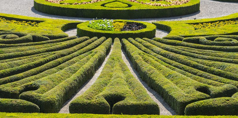 Jak stworzyć ogród? Kompleksowy przewodnik dla pasjonatów architektury krajobrazu